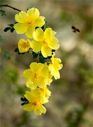 welcome大发系统-追求康健,你我一起生长