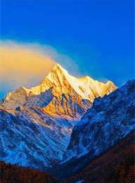 welcome大发系统-追求康健,你我一起生长