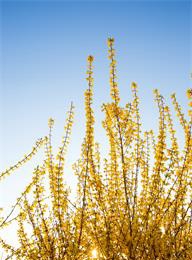 welcome大发系统-追求康健,你我一起生长