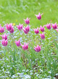 welcome大发系统-追求康健,你我一起生长