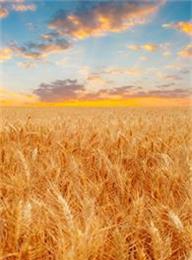 welcome大发系统-追求康健,你我一起生长