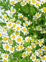 welcome大发系统-追求康健,你我一起生长