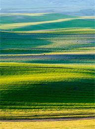 welcome大发系统-追求康健,你我一起生长