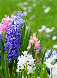 welcome大发系统-追求康健,你我一起生长