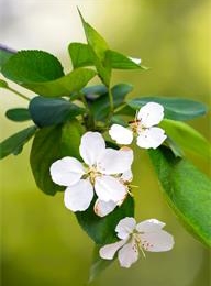 welcome大发系统-追求康健,你我一起生长