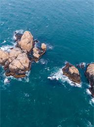 welcome大发系统-追求康健,你我一起生长