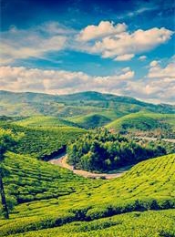 welcome大发系统-追求康健,你我一起生长