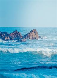 welcome大发系统-追求康健,你我一起生长