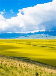 welcome大发系统-追求康健,你我一起生长