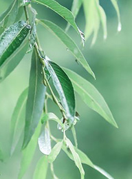 welcome大发系统-追求康健,你我一起生长