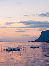 welcome大发系统-追求康健,你我一起生长