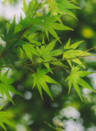 welcome大发系统-追求康健,你我一起生长