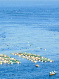 welcome大发系统-追求康健,你我一起生长