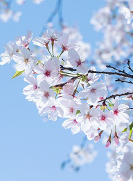 welcome大发系统-追求康健,你我一起生长