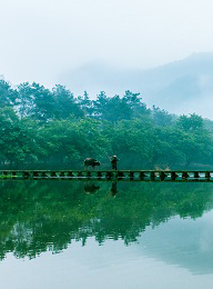 welcome大发系统-追求康健,你我一起生长