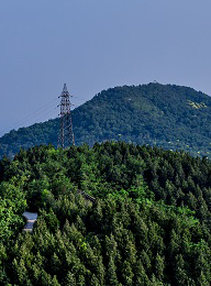 welcome大发系统-追求康健,你我一起生长