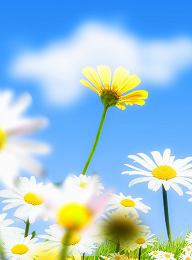 welcome大发系统-追求康健,你我一起生长