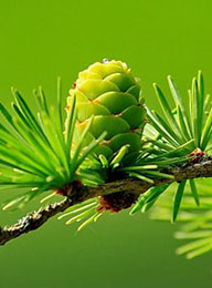 welcome大发系统-追求康健,你我一起生长