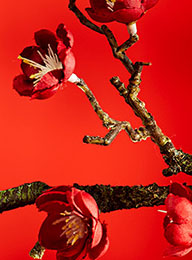 welcome大发系统-追求康健,你我一起生长