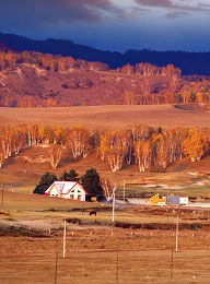 welcome大发系统-追求康健,你我一起生长