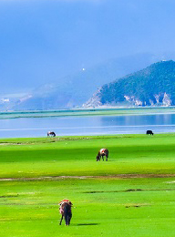 welcome大发系统-追求康健,你我一起生长