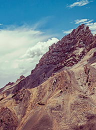 welcome大发系统-追求康健,你我一起生长