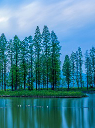 welcome大发系统-追求康健,你我一起生长