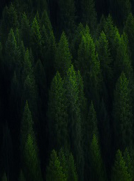 welcome大发系统-追求康健,你我一起生长