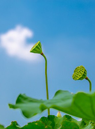 welcome大发系统-追求康健,你我一起生长