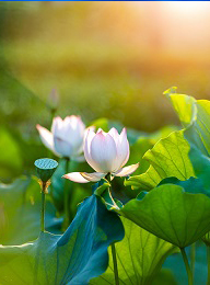 welcome大发系统-追求康健,你我一起生长