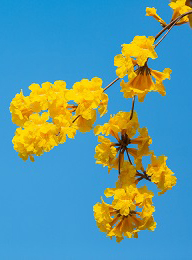 welcome大发系统-追求康健,你我一起生长