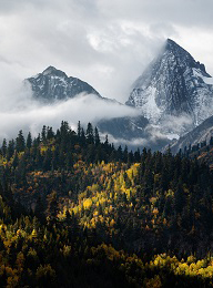 welcome大发系统-追求康健,你我一起生长