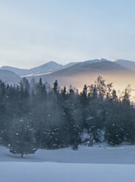 welcome大发系统-追求康健,你我一起生长