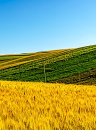 welcome大发系统-追求康健,你我一起生长