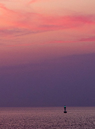 welcome大发系统-追求康健,你我一起生长