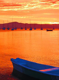 welcome大发系统-追求康健,你我一起生长