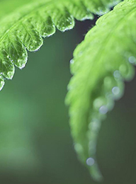 welcome大发系统-追求康健,你我一起生长