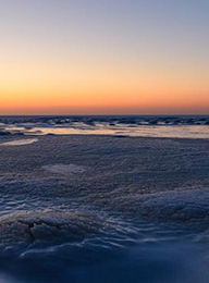 welcome大发系统-追求康健,你我一起生长