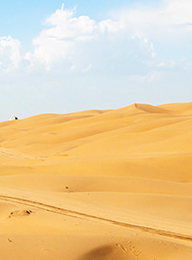 welcome大发系统-追求康健,你我一起生长