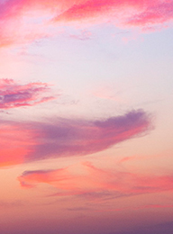 welcome大发系统-追求康健,你我一起生长