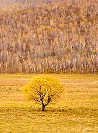 welcome大发系统-追求康健,你我一起生长
