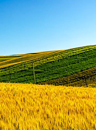 welcome大发系统-追求康健,你我一起生长