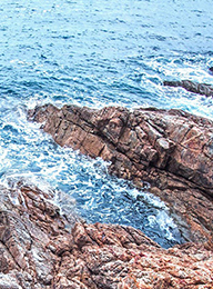 welcome大发系统-追求康健,你我一起生长