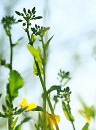 welcome大发系统-追求康健,你我一起生长