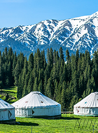 welcome大发系统-追求康健,你我一起生长