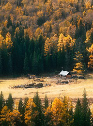 welcome大发系统-追求康健,你我一起生长