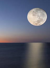 welcome大发系统-追求康健,你我一起生长