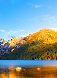 welcome大发系统-追求康健,你我一起生长