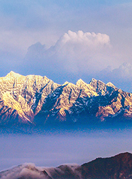 welcome大发系统-追求康健,你我一起生长