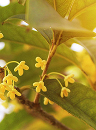 welcome大发系统-追求康健,你我一起生长